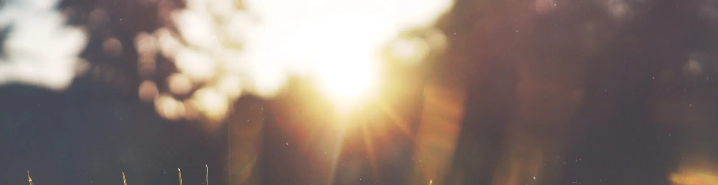 About Melody Iles, Holistic Care Practitioner. 